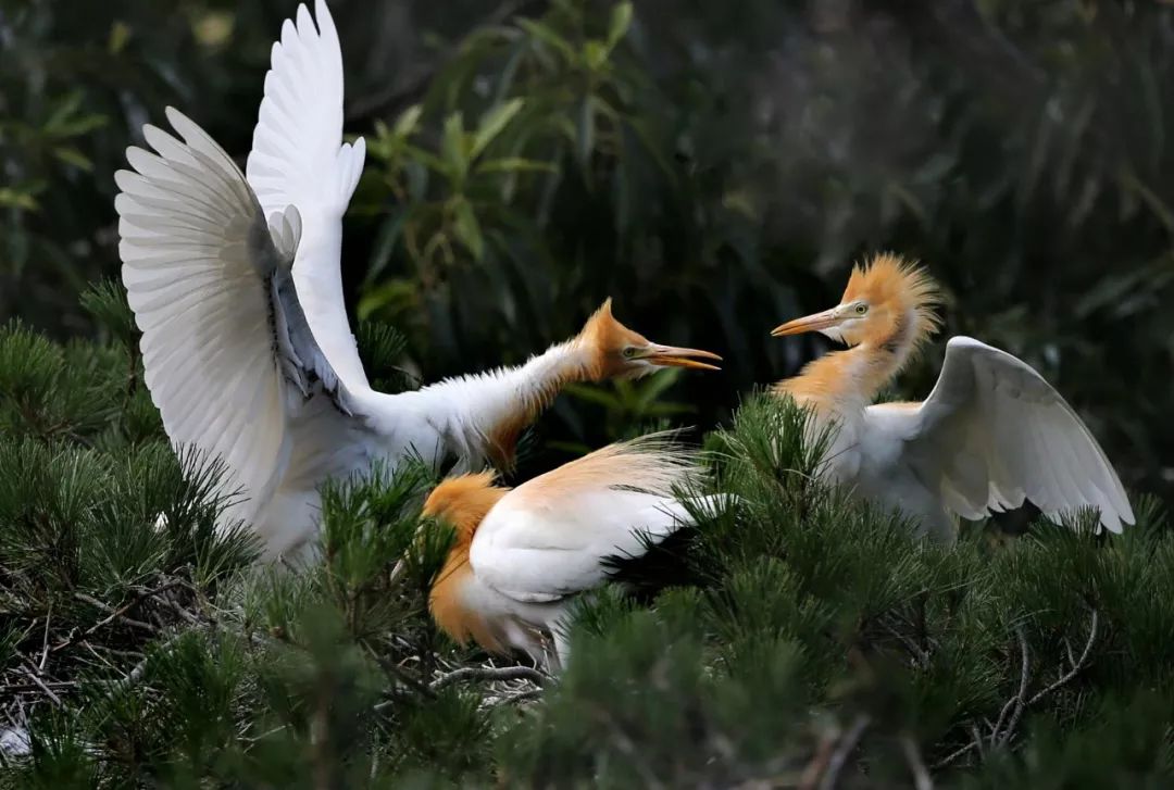 连云港自由活力战平对手，不甘示弱