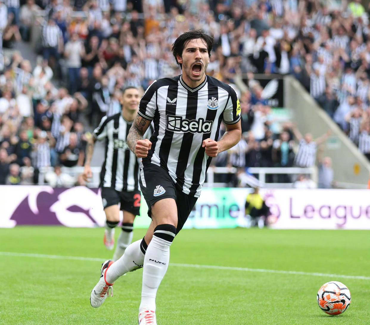 AC米兰新赛季表现出色,成为黑马候选 AC米兰新赛季表现出色,成为黑马候选