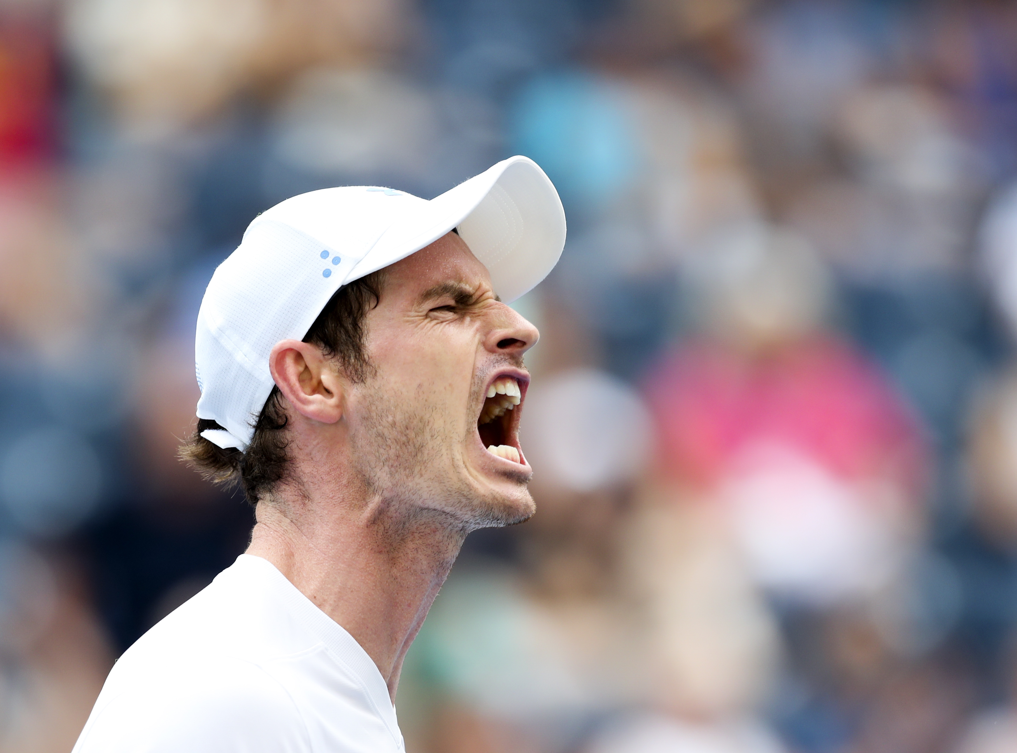 美网翻盘戴维斯杯,穆雷高光表现 美网翻盘戴维斯杯,穆雷高光表现