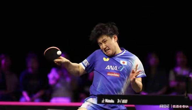 葡萄牙队翻盘波兰队,张本智和带队取胜 葡萄牙队翻盘波兰队,张本智和带队取胜